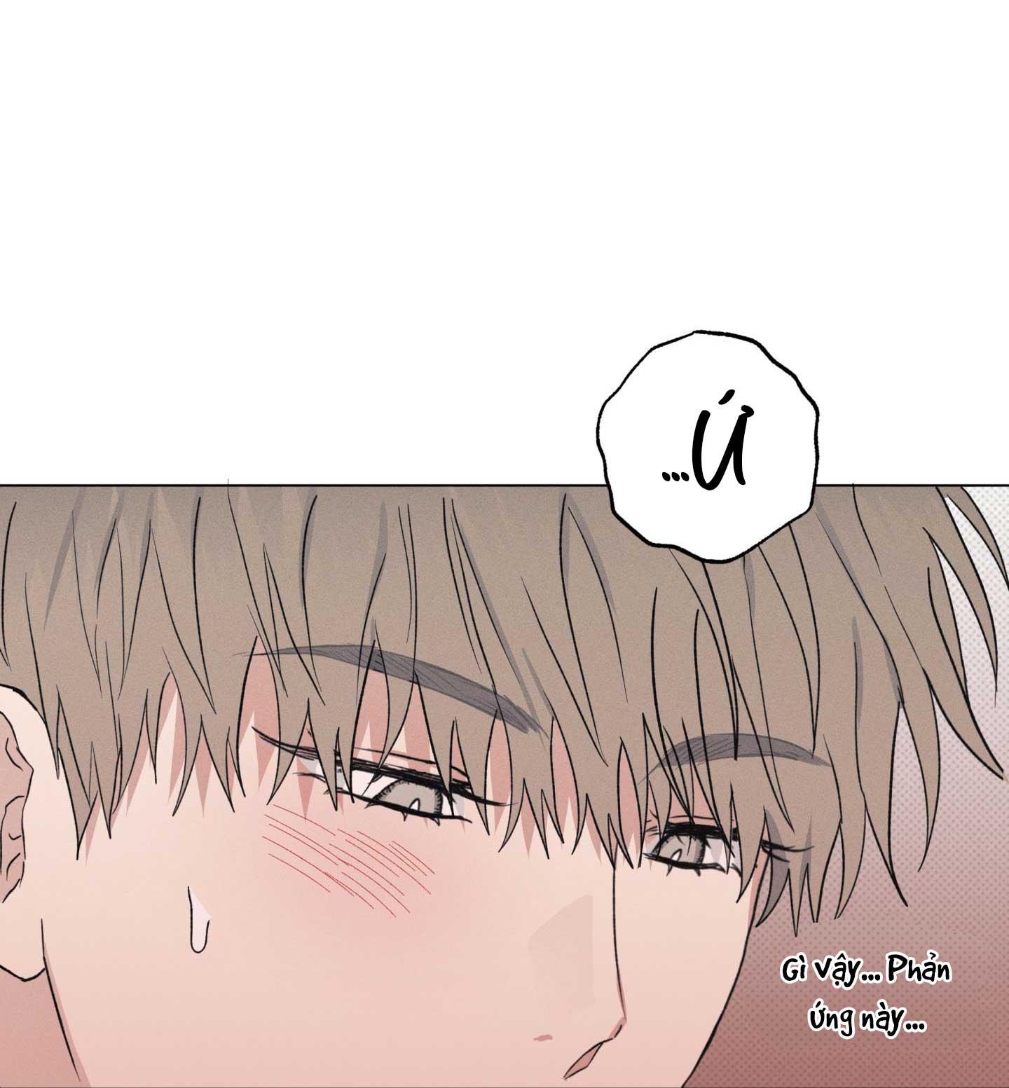 Nhật ký nuôi dưỡng sói hoang Chapter 2 - Next Chapter 3