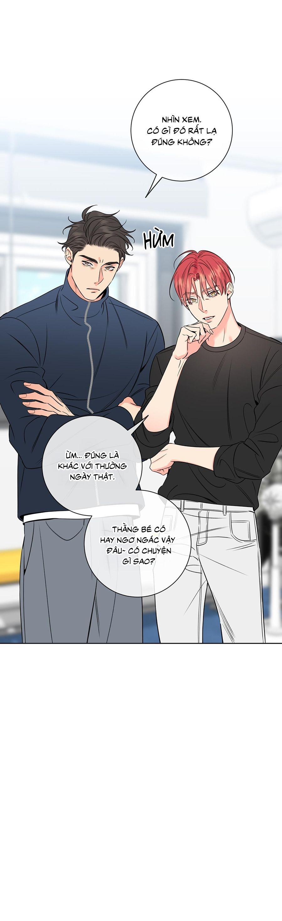 HONEY TROUBLE Chapter 39 - Trang 4