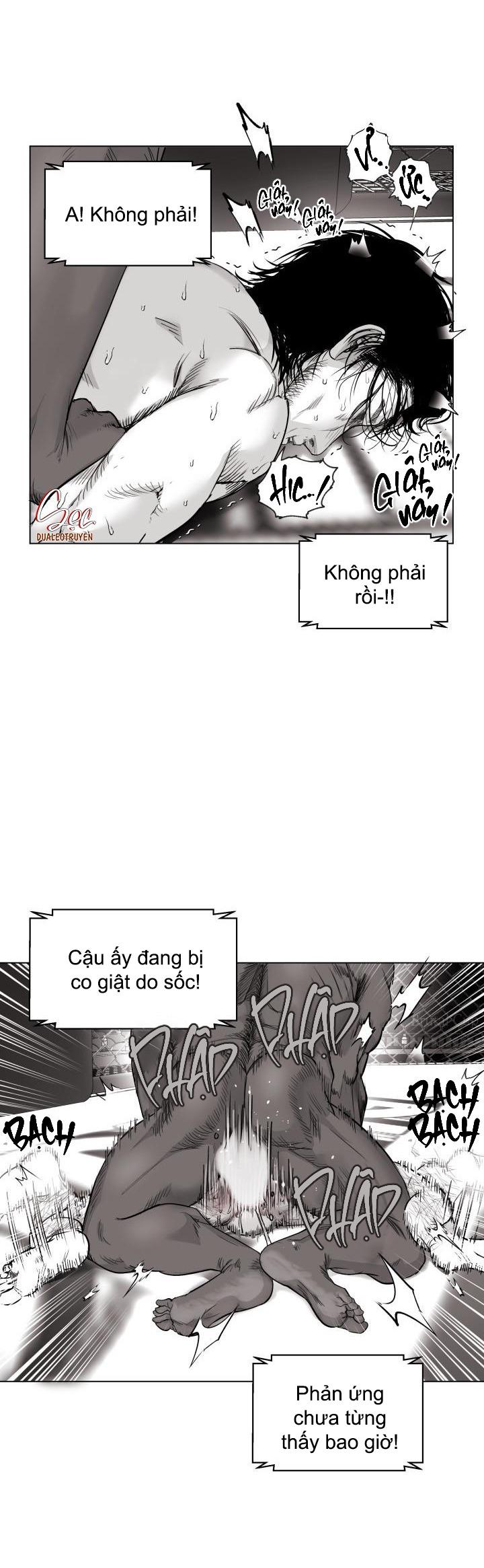 NHÀ VÔ ĐỊCH NGOAN CƯỜNG Chapter 4 - Next Chapter 5