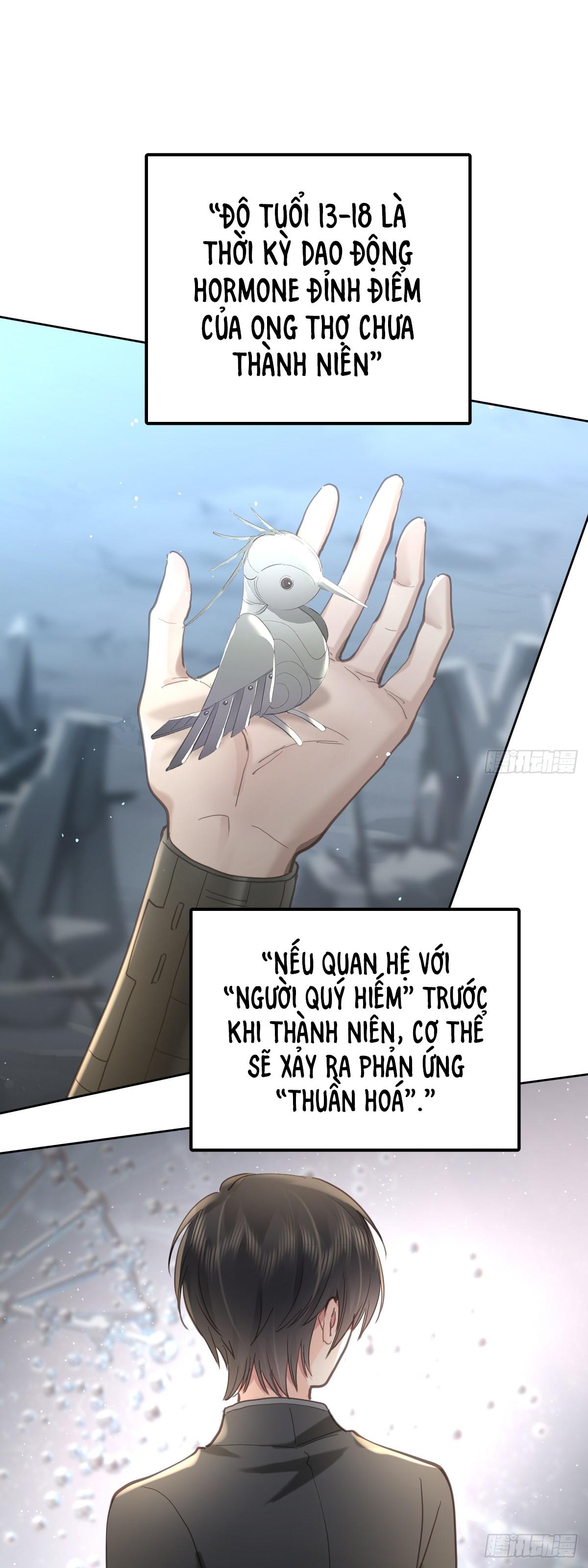 Ong Thợ Chapter 44 - Next Chapter 44