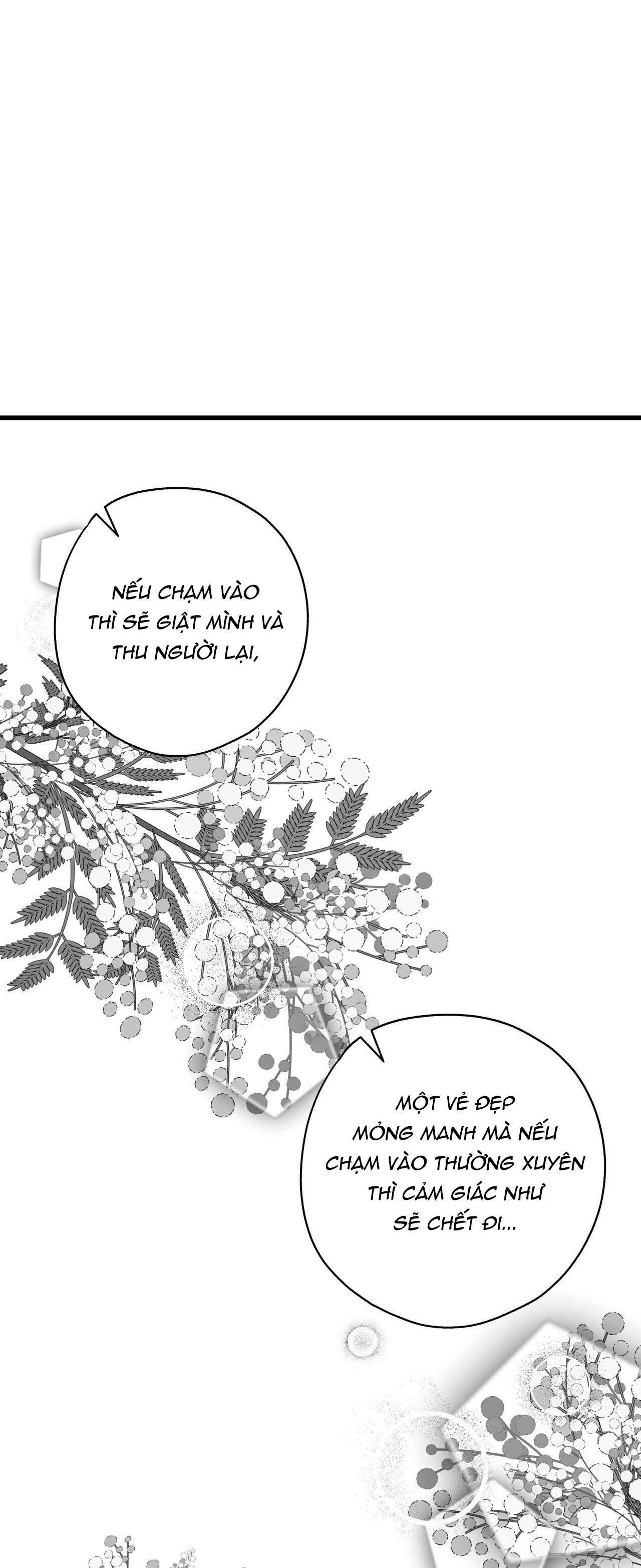 HỢP ĐỒNG KẸO NGỌT Chapter 21 18+ - Next 