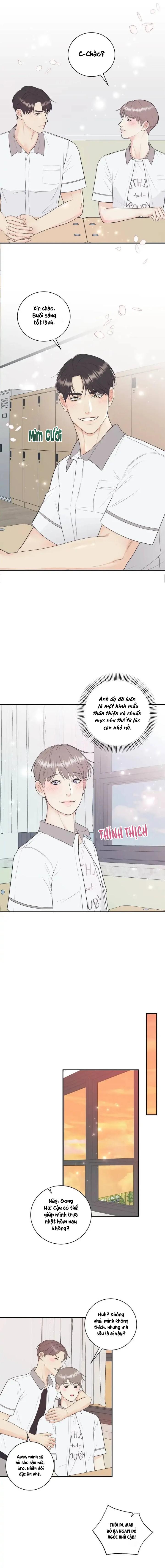 Hạnh Phúc Trọn Vẹn Chapter 67 - Next Chapter 68