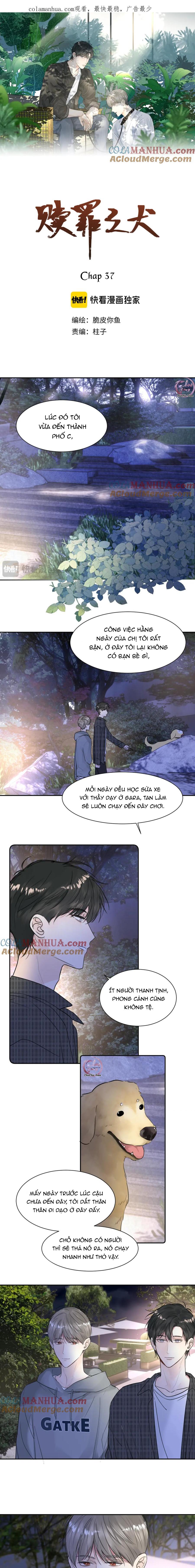 Chó Chuộc Tội Chapter 37 - Next Chapter 38