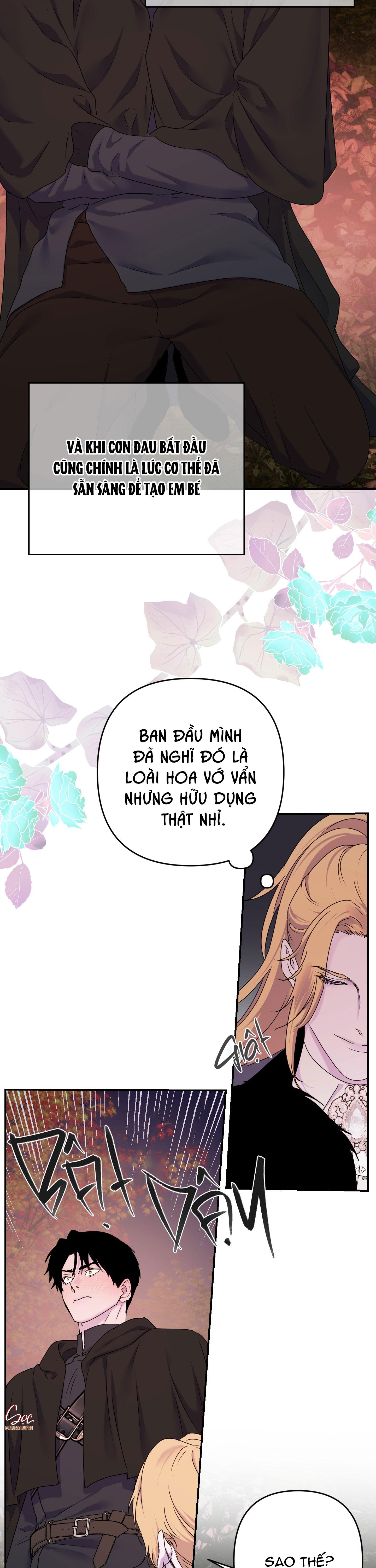 ĐÓA HOA CỦA ALOSHA Chapter 30 - Next Chapter 31