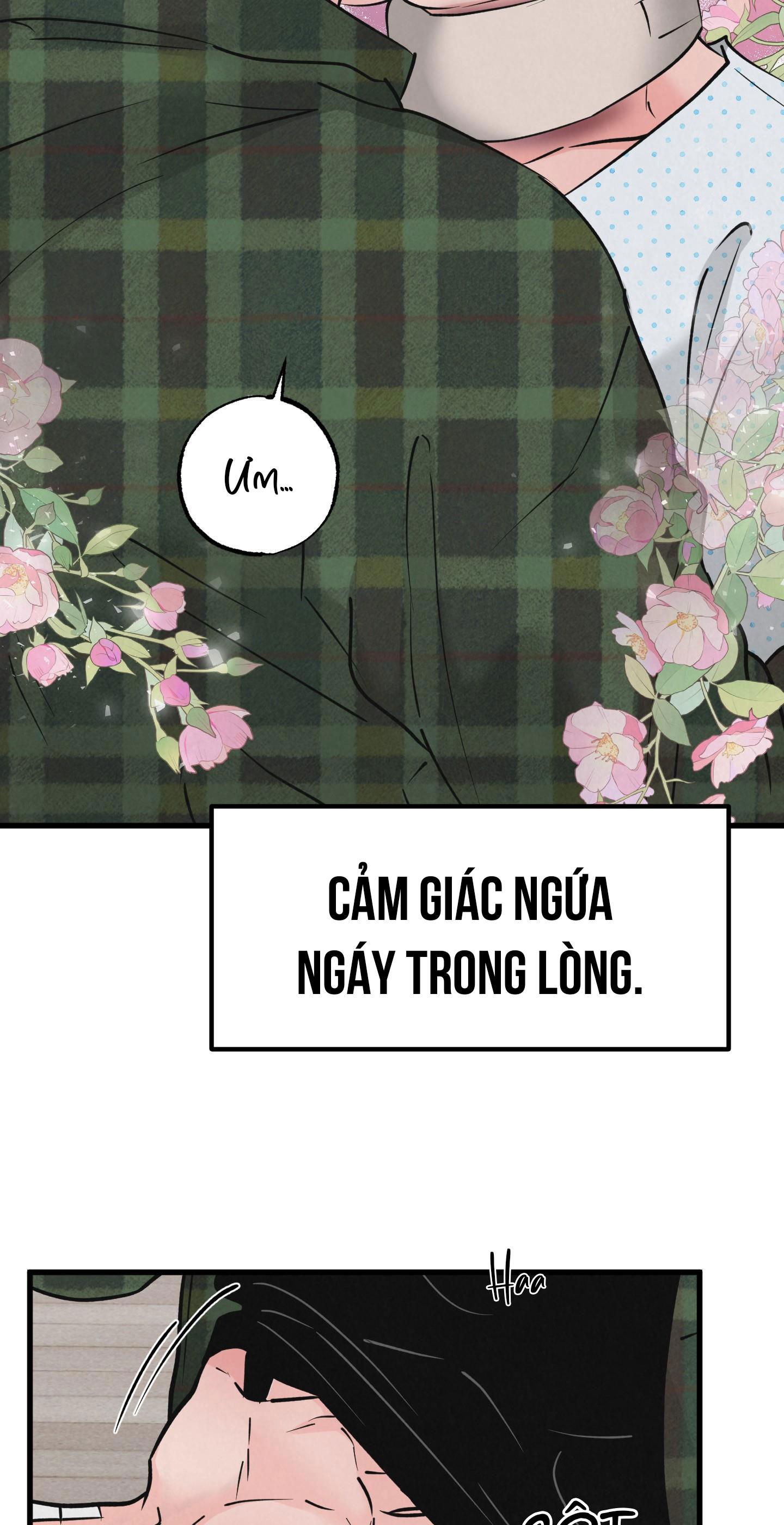 CẶP ĐÔI HOÀN HẢO Chapter 44 - Next Chapter 45