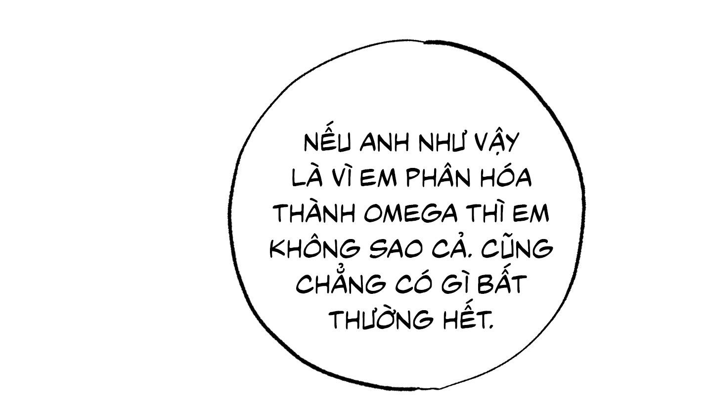 CẶP ĐÔI HOÀN HẢO Chapter 37 - Next Chapter 38