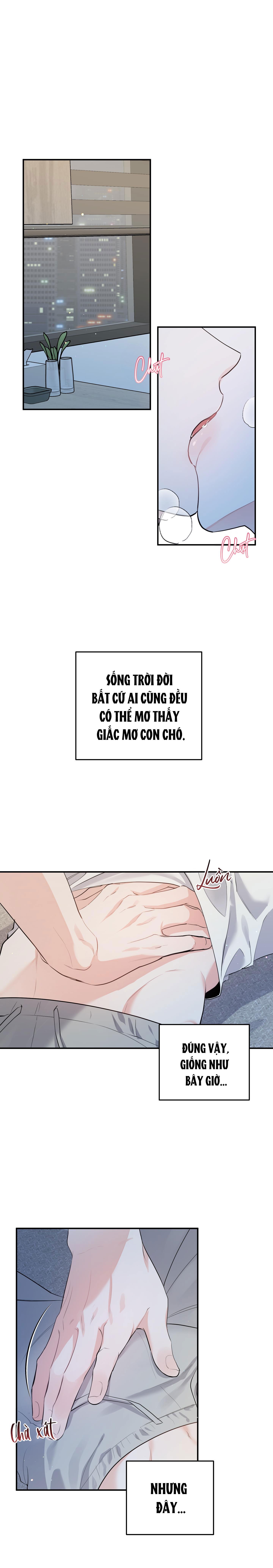 TUYỂN TẬP TRUYỆN NGẮN HỎNY CỦA NHÀ SẸC Chapter 55 CON MÈO NÀY 1 - Next Chapter 56 CON MÈO NÀY 2