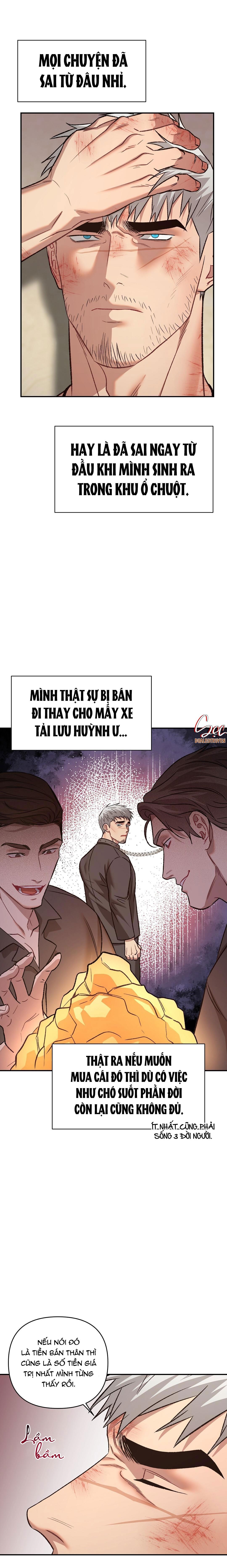 BIỂN ĐỎ Chapter 8 H - Next Chapter 9 H+