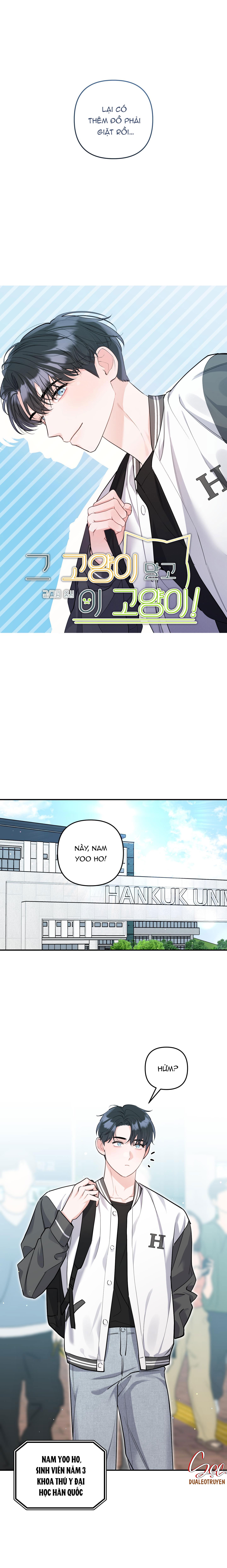 TUYỂN TẬP TRUYỆN NGẮN HỎNY CỦA NHÀ SẸC Chapter 55 CON MÈO NÀY 1 - Next Chapter 56 CON MÈO NÀY 2