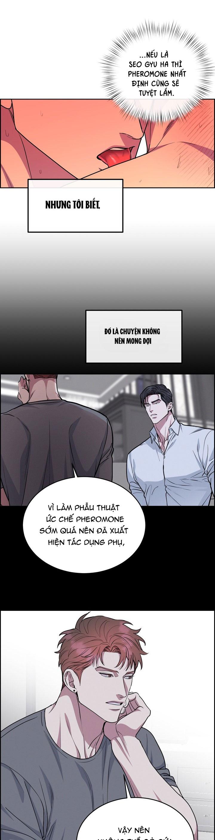 CHÓ VÀ CHIM Chapter 47 - Next Chapter 48