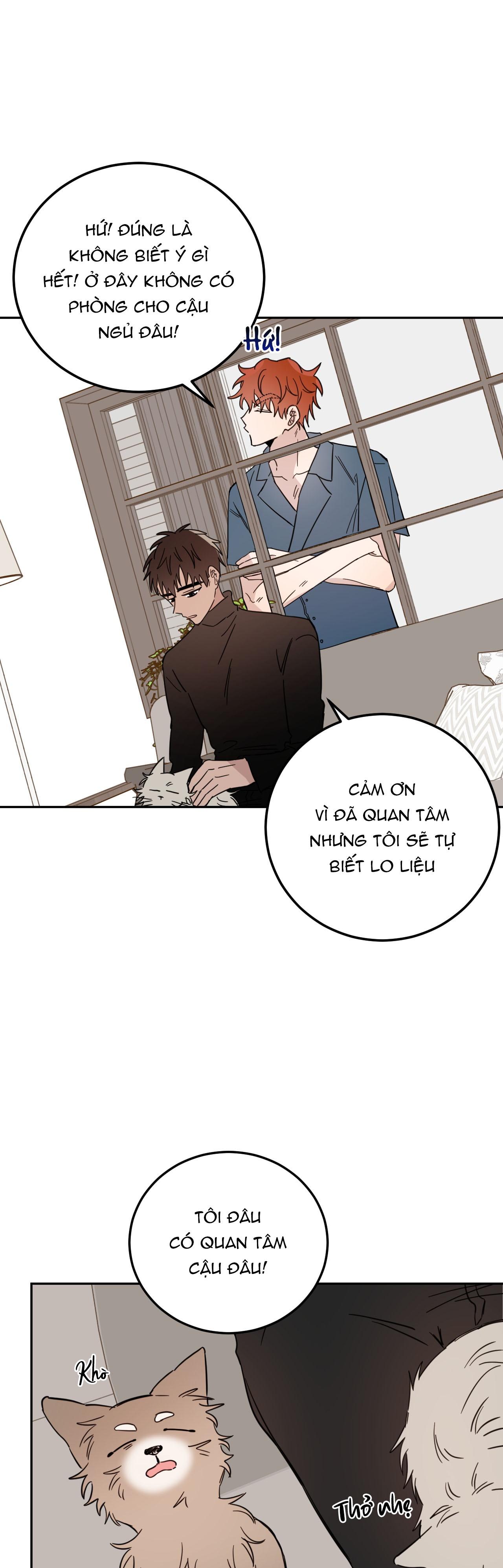 Ác Ma Giữa Ngã Tư đường Chapter 22 - Next Chapter 23