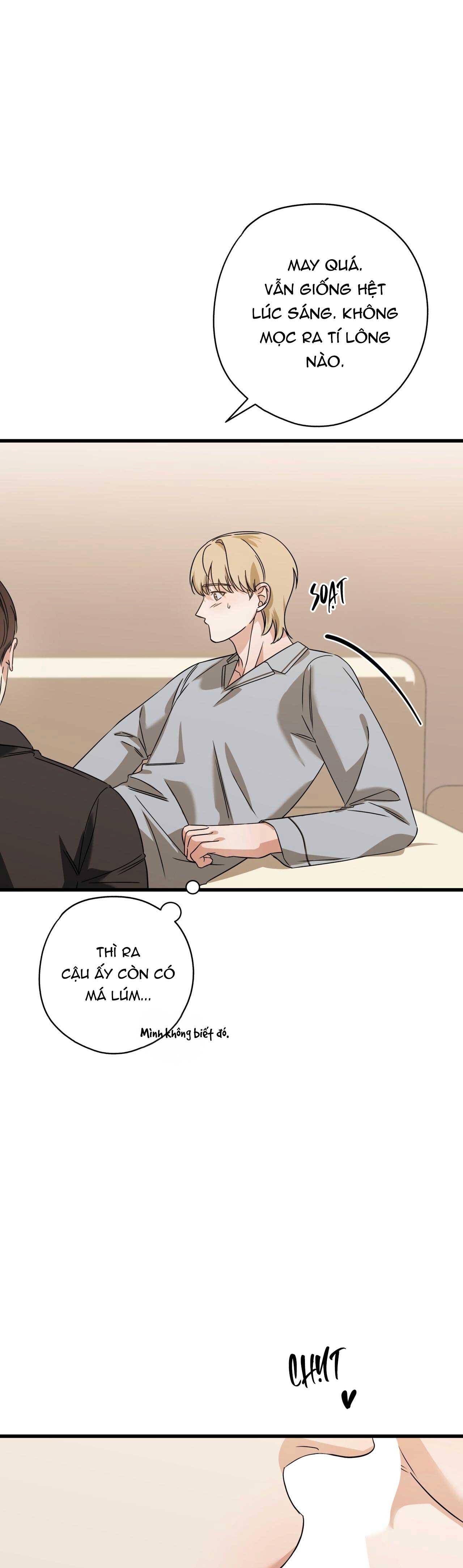 HỢP ĐỒNG KẸO NGỌT Chapter 21 18+ - Next 