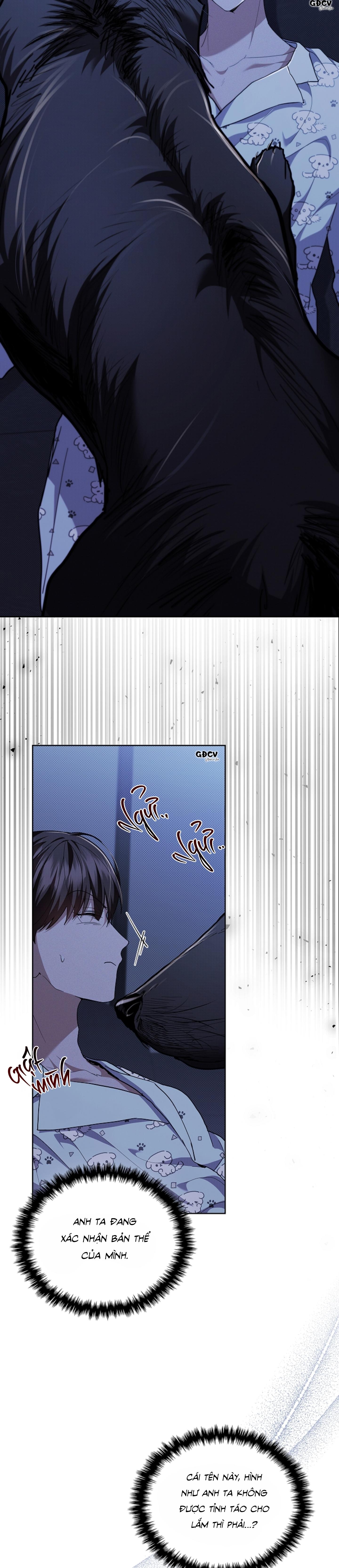 ĐỪNG CHẠM VÀO CÚN CON CỦA TÔI Chapter 19 - Next Chapter 20