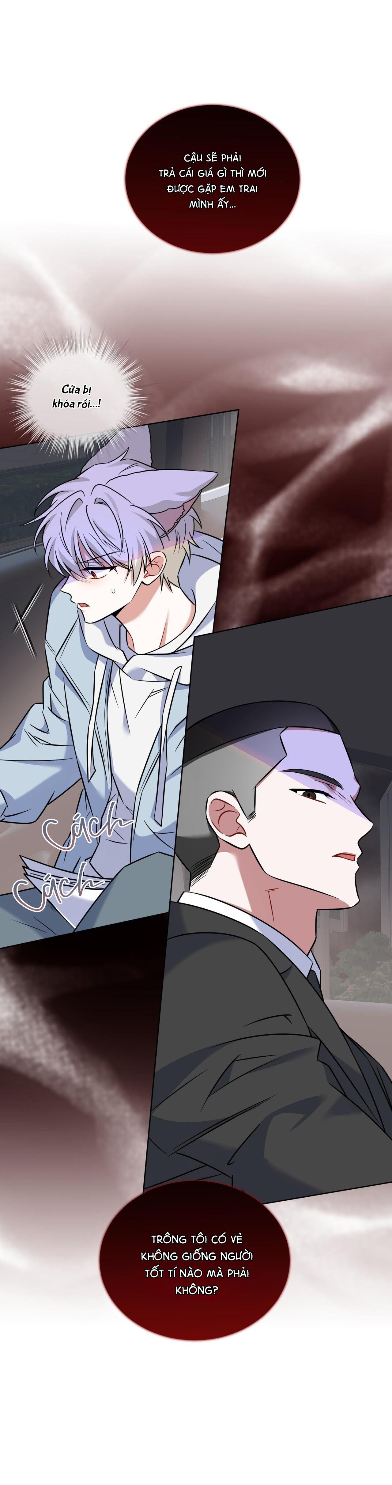 |DROP| Tiệm đồ uống của cáo Flynn Chapter 13 - Next Chapter 14