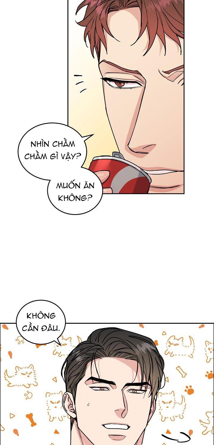 CHÓ VÀ CHIM Chapter 15 - Next Chapter 16 H