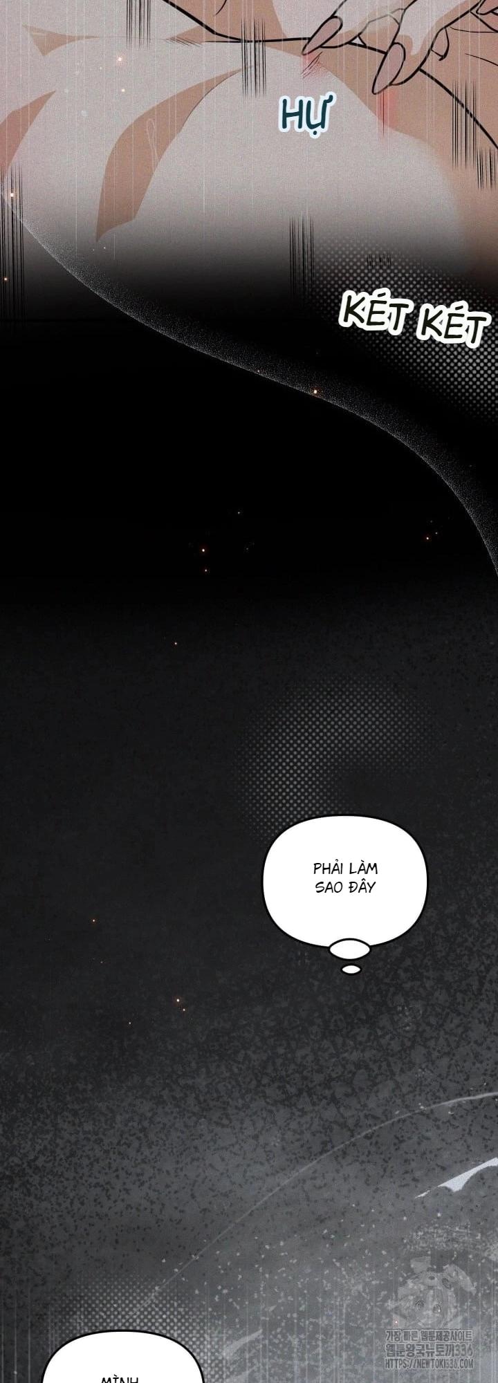 báo cáo thu thập dữ lệu về tuyến tiền liệt Chapter 2 - Next Chapter 3