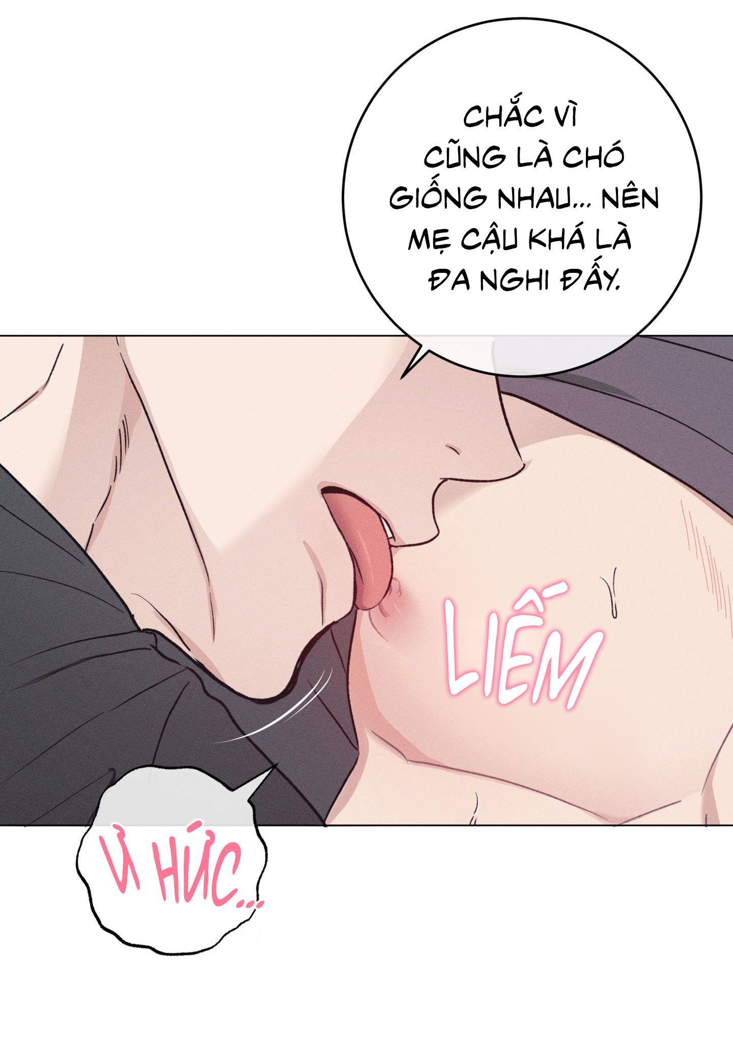 Nhật ký nuôi dưỡng sói hoang Chapter 9 - Next 