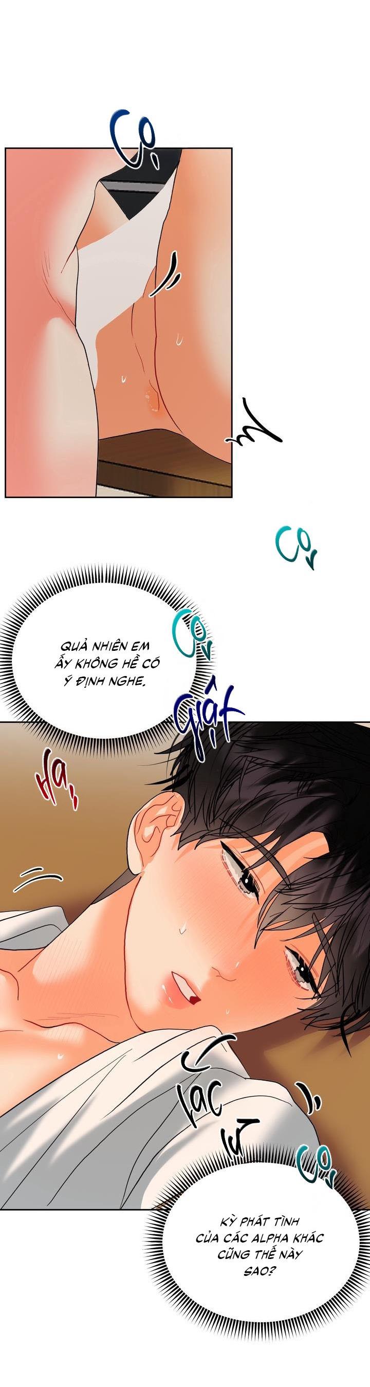 ( CBunu ) Omega Của Anh Chapter 11 H+ - Next Chapter 12 H+