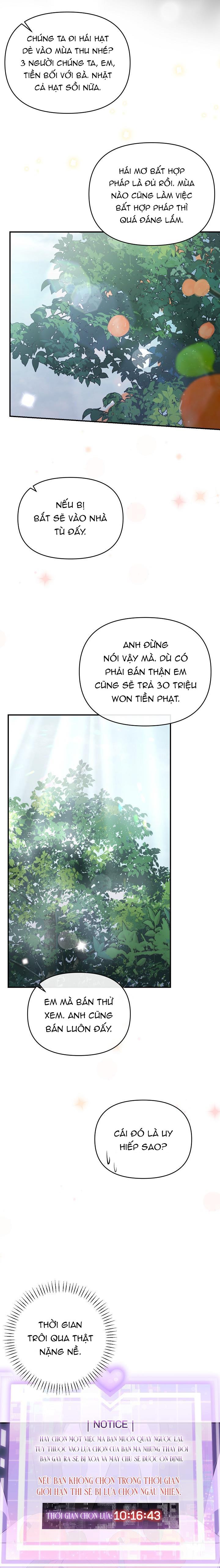 Khu vực chủ nghĩa tình yêu Chapter 51 - Next Chapter 52