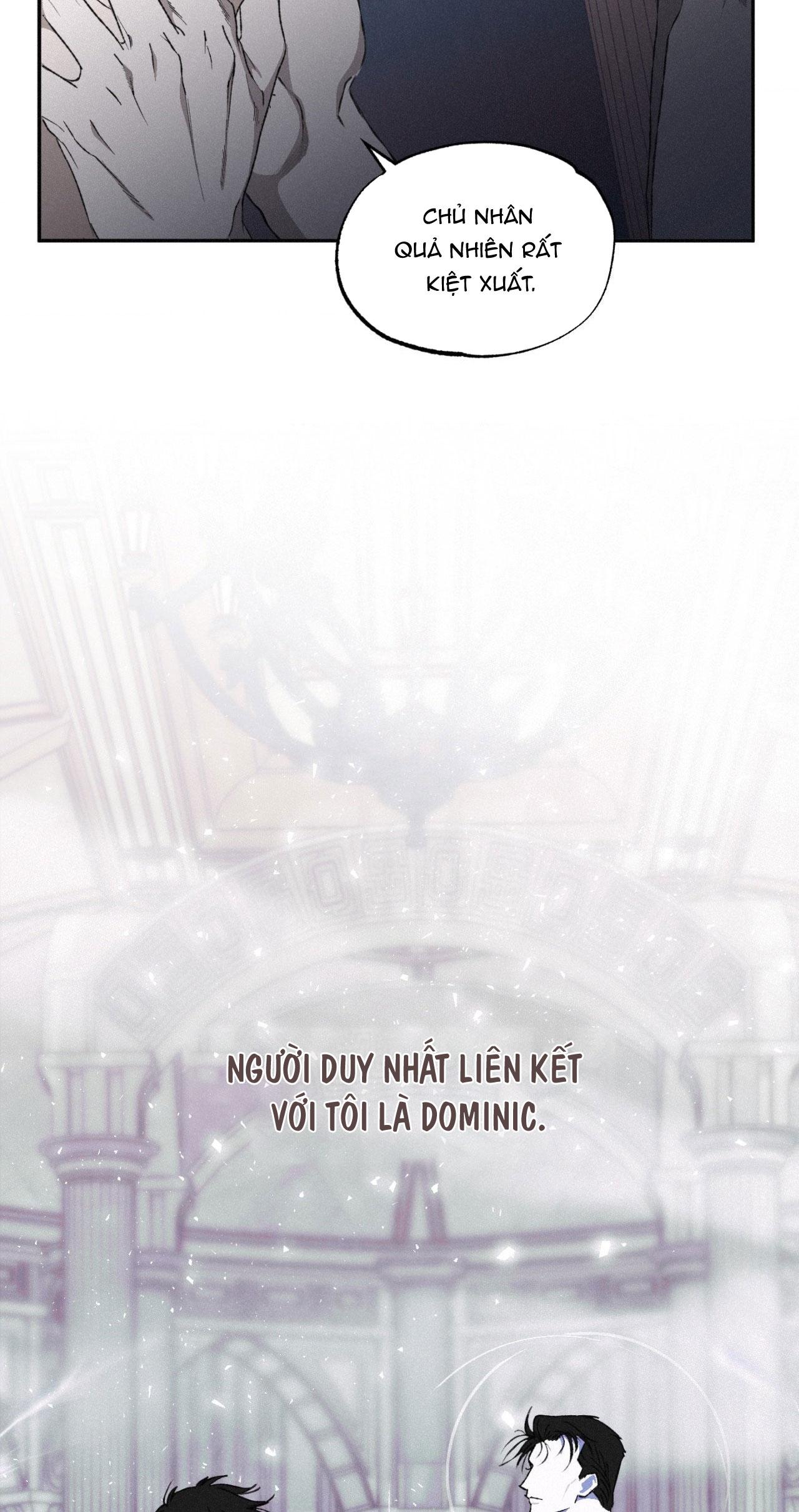 LỜI NÓI DỐI ĐẪM MÁU Chapter 48 - Next Chapter 49