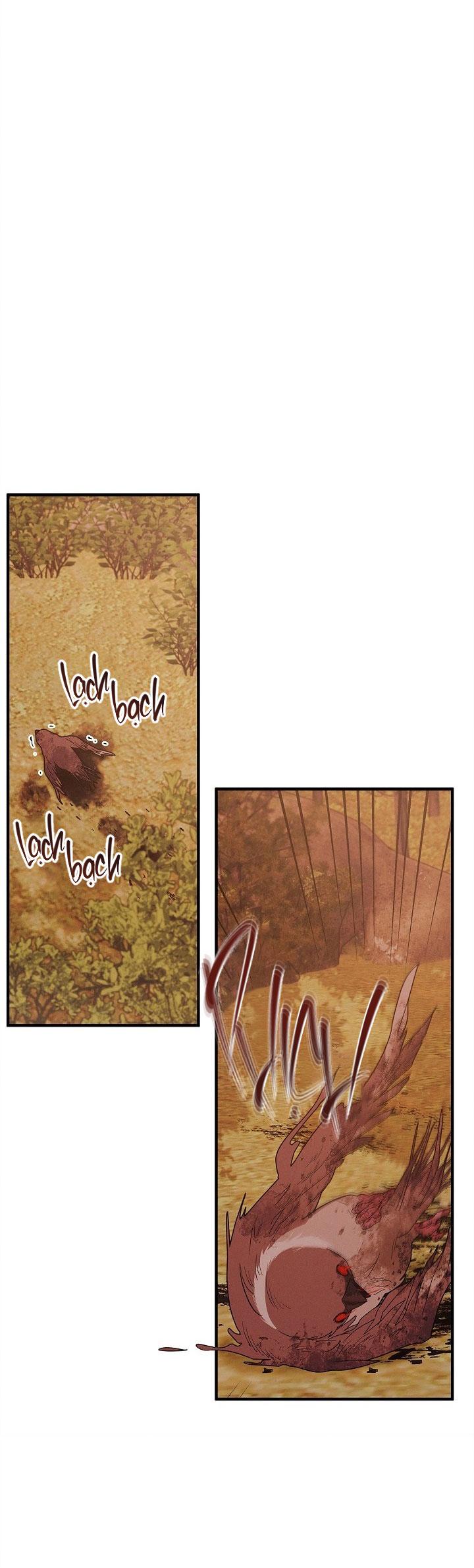 ĐÊM KHÔNG DẤU VẾT Chapter 37 - Next Chapter 38