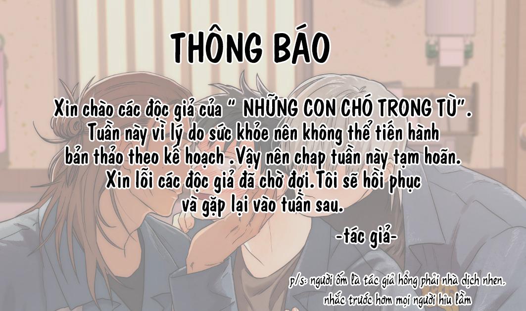 NHỮNG CON CHÓ TRONG TÙ Chapter 18.1 THÔNG BÁO HOÃN - Next Chapter 19 H+++