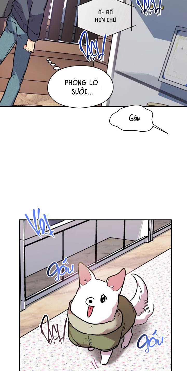THÚ CƯNG DAMDANG Chapter 6.1 LÒ HƠI 1 - Next Chapter 6.2 LÒ HƠI 2