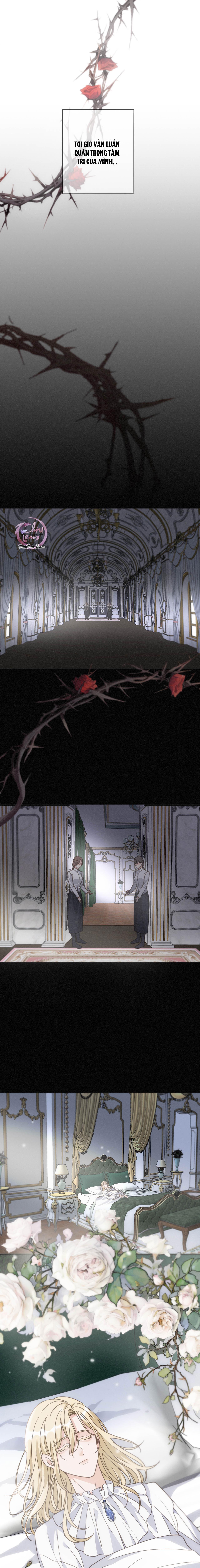 Khốn Thú Chi Nhiễm Chapter 51 - Next Chapter 52
