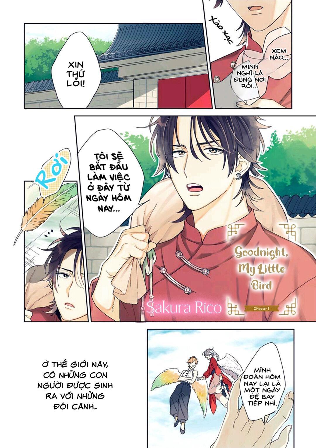 Ngủ ngon nhé, chú chim nhỏ của tôi Chapter 1 - Next Chapter 2