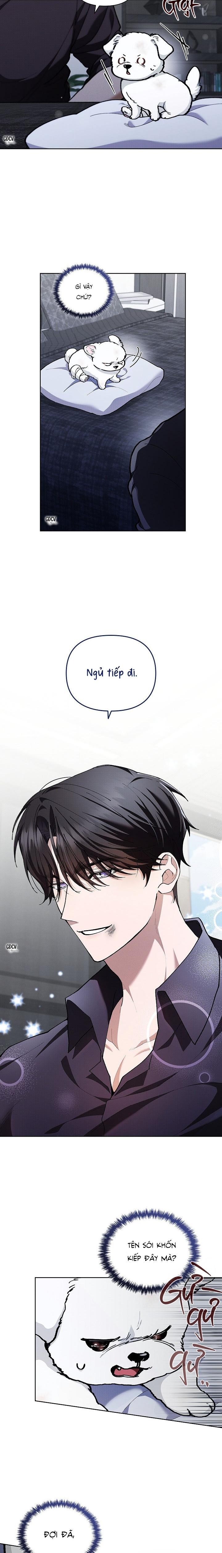ĐỪNG CHẠM VÀO CÚN CON CỦA TÔI Chapter 3 - Next Chapter 4