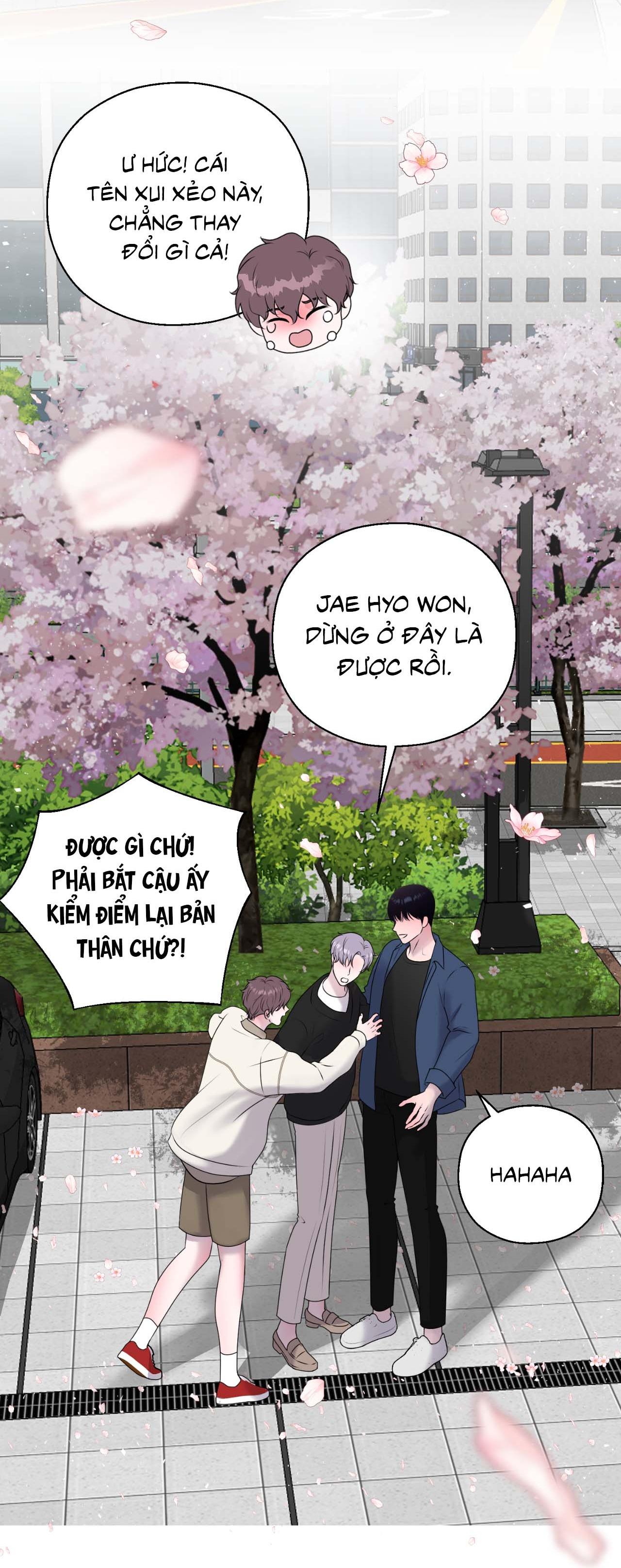 Tiền Bối Của Anh Chapter 24 - Next Chapter 25