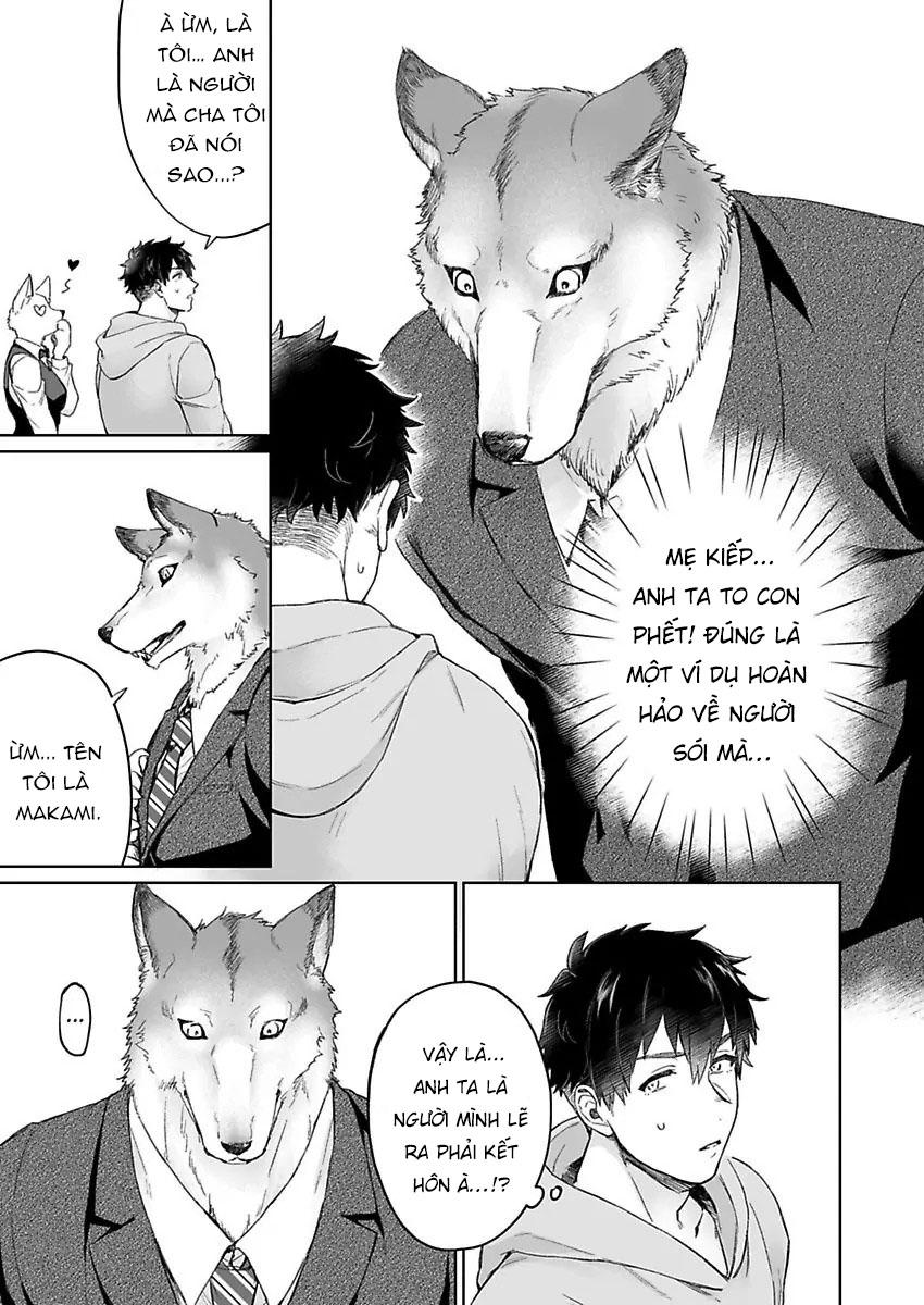 Chồng sói chẳng chịu ngủ cùng tôi Chapter 1 - Next Chapter 2