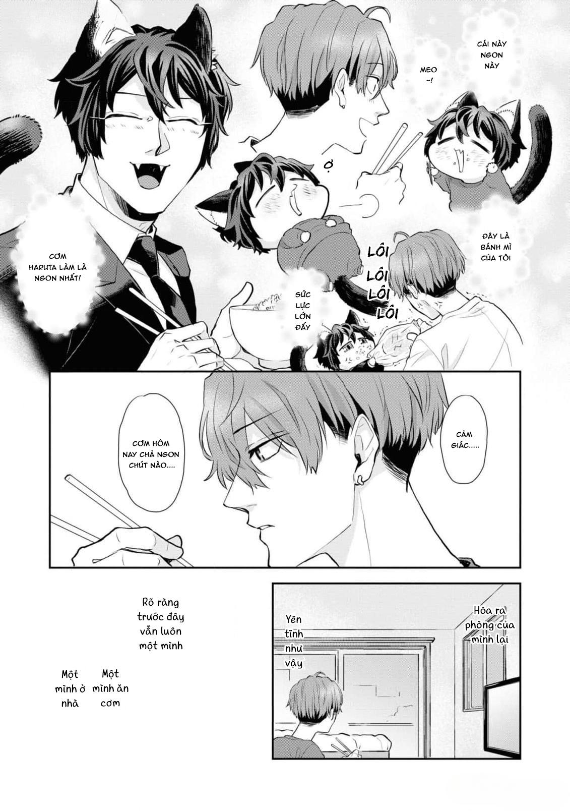 Chú mèo đẹp trai muốn được Haruta nuôi dưỡng Chapter 8 - Next 