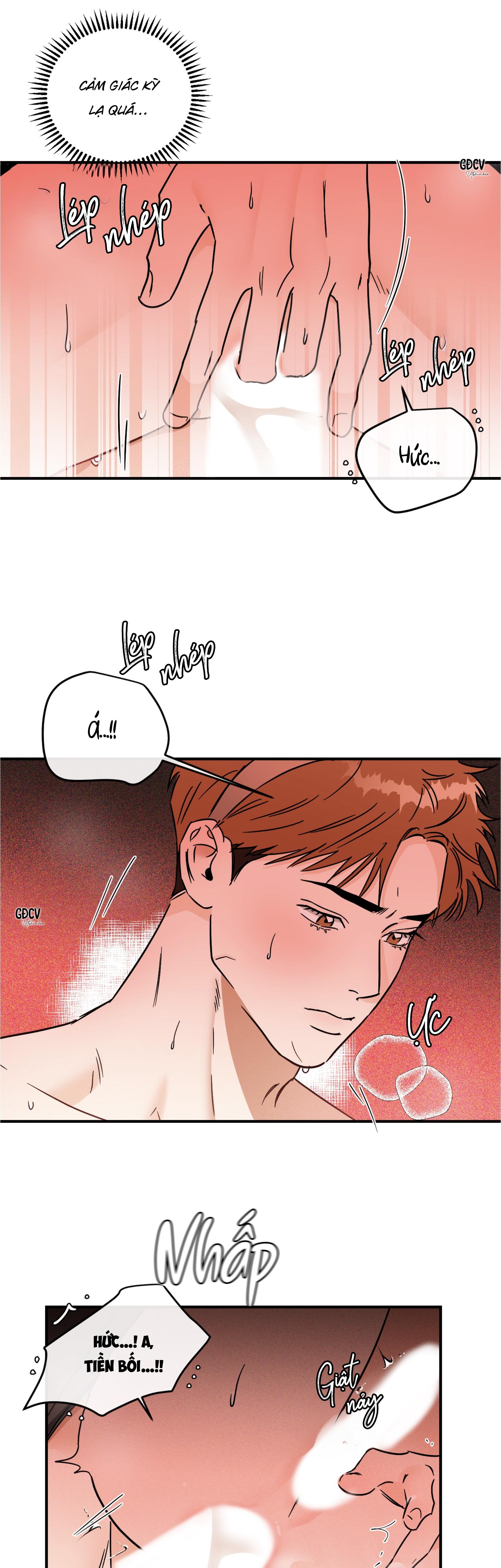 CÁ MINH THÁI KHÔ QUẮT RỒI! Chapter 33 18+ - Next Chapter 33.1 Hậu kỳ SS1