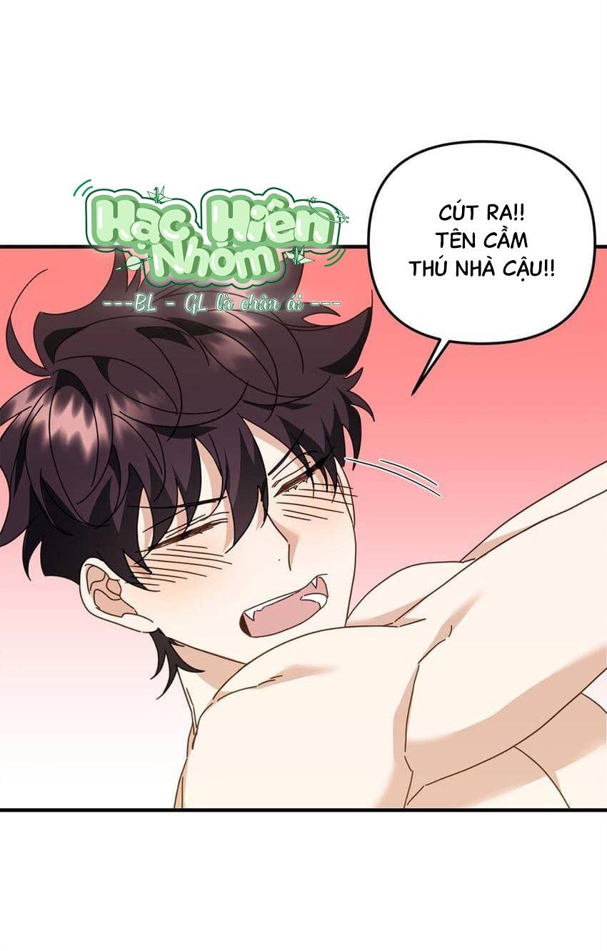 Bạn Trai Mãnh Hổ Của Hắn Chapter 25 - Next Chapter 26