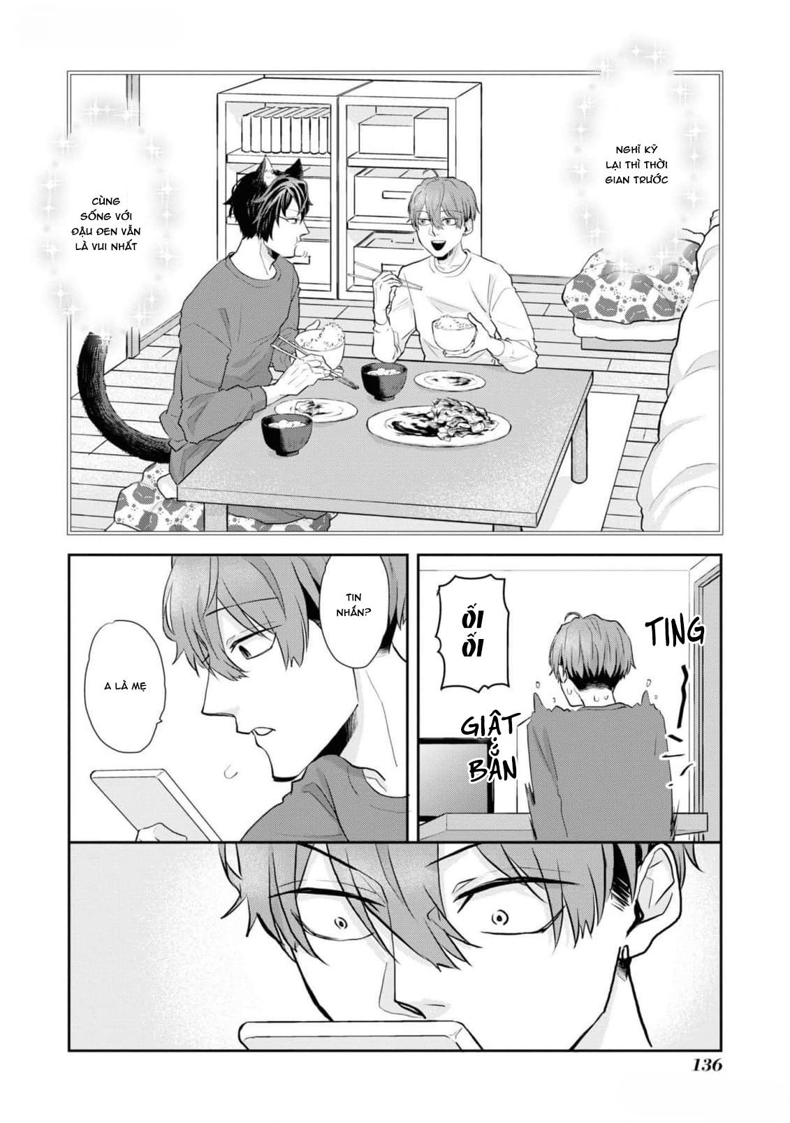Chú mèo đẹp trai muốn được Haruta nuôi dưỡng Chapter 8 - Next 