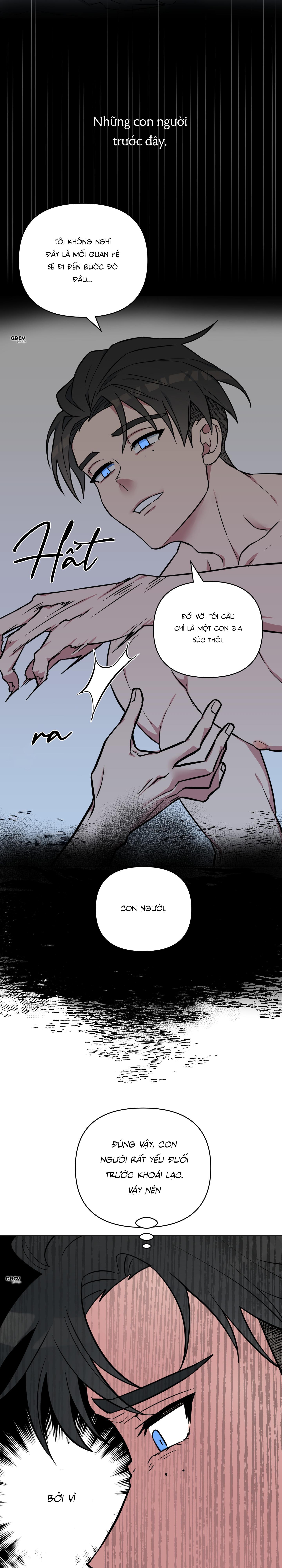(GDCV) LỜI NGUYỀN ĐÊM GIÁNG SINH Chapter 8 NT4 - Trang 2