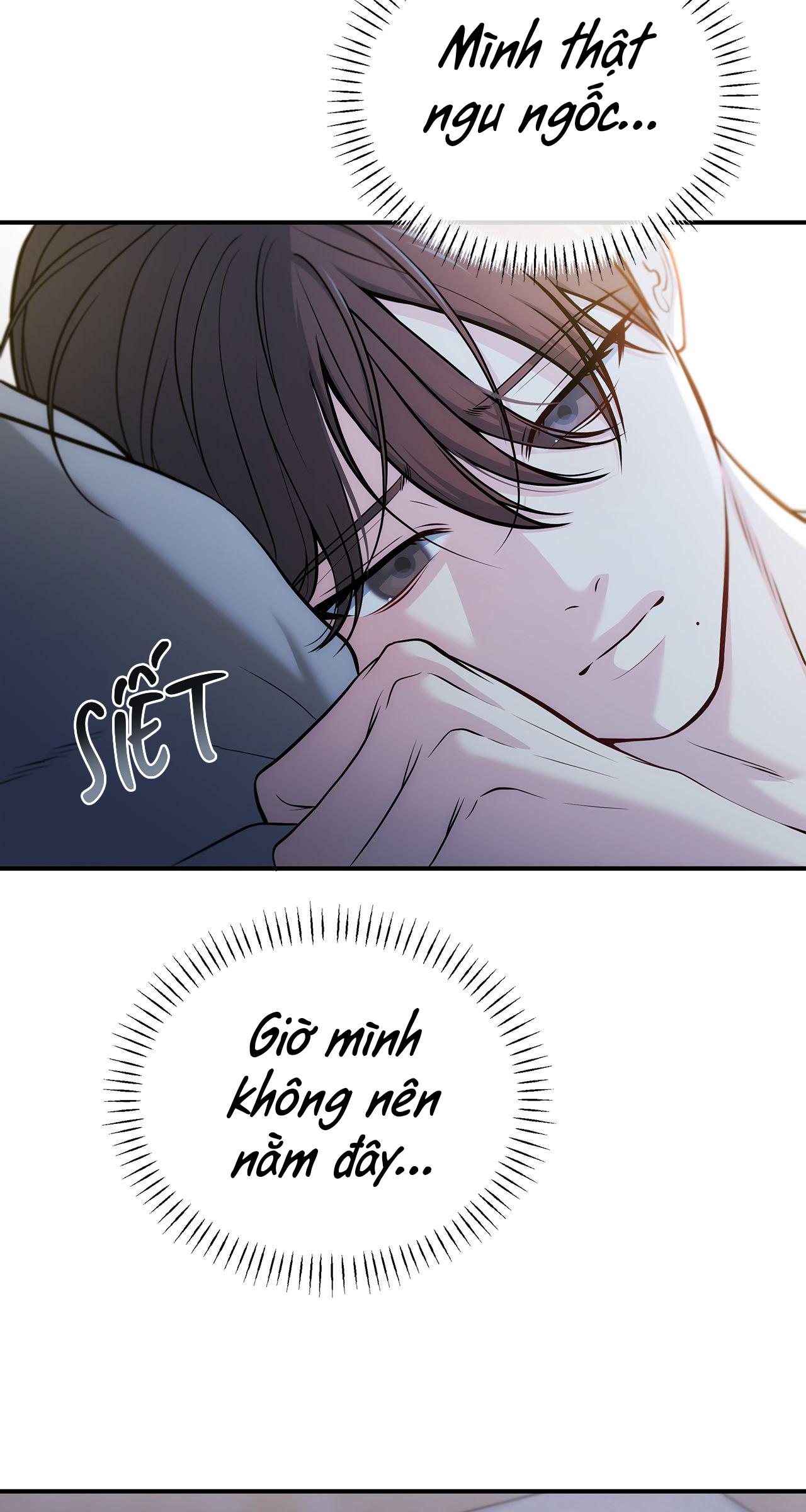 Tình Yêu Bí Mật Chapter 49 - Trang 3