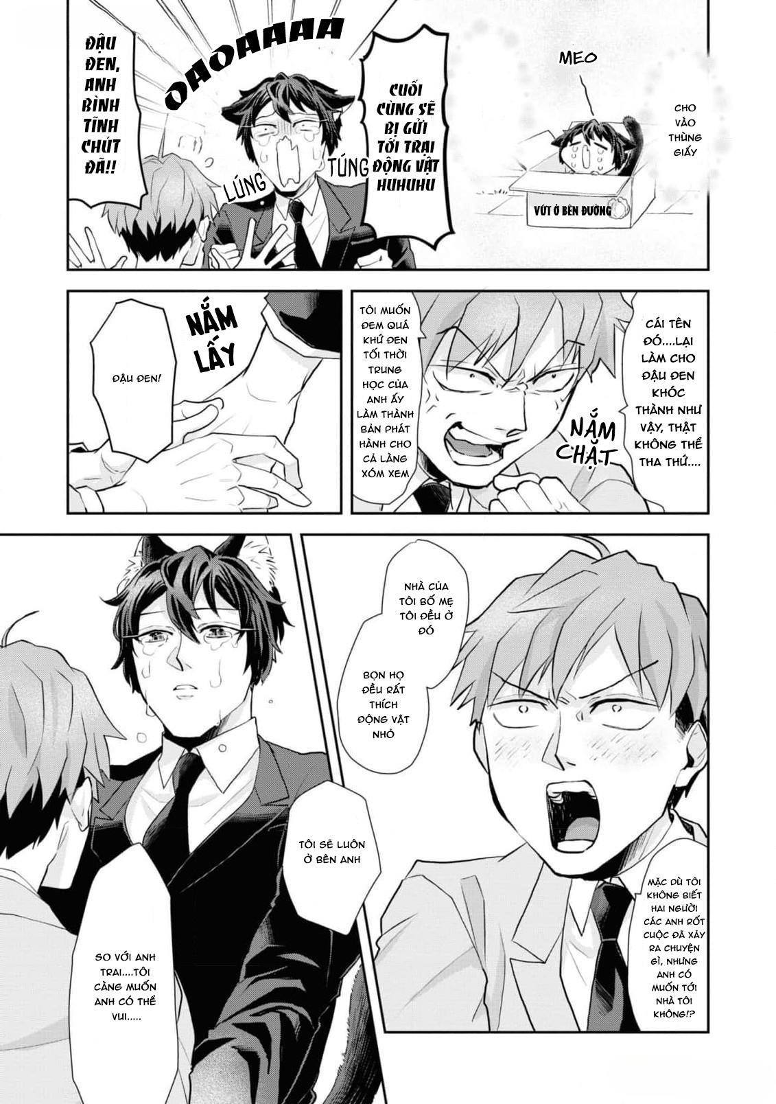 Chú mèo đẹp trai muốn được Haruta nuôi dưỡng Chapter 8 - Next 