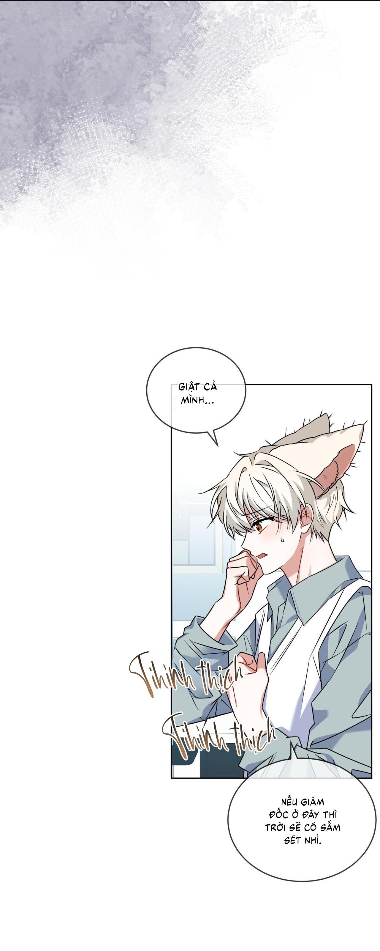 |DROP| Tiệm đồ uống của cáo Flynn Chapter 17 - Next Chapter 18