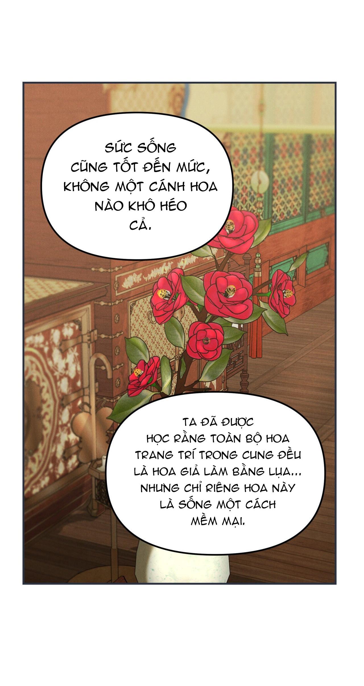 SỰ PHẪN NỘ CỦA THẦN Chapter 12 - Trang 2