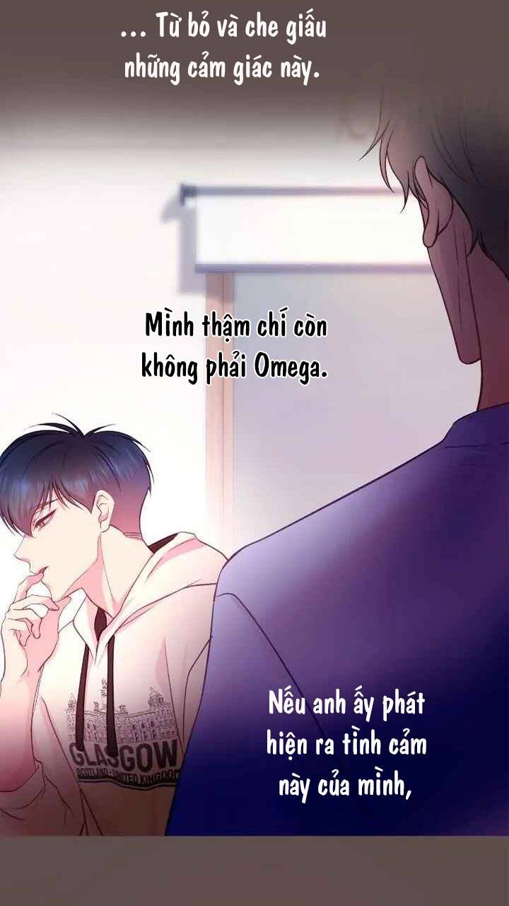 Bạn Đời Định Mệnh Chapter 4 - Next Chapter 5