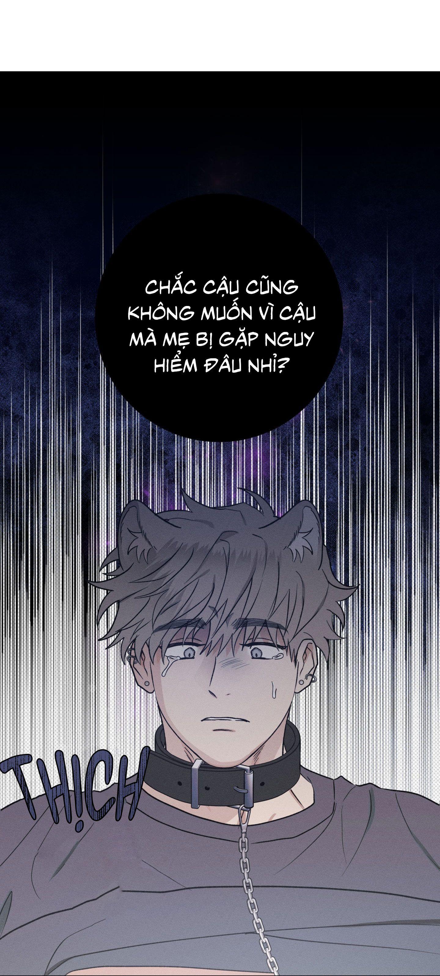 Nhật ký nuôi dưỡng sói hoang Chapter 9 - Next 