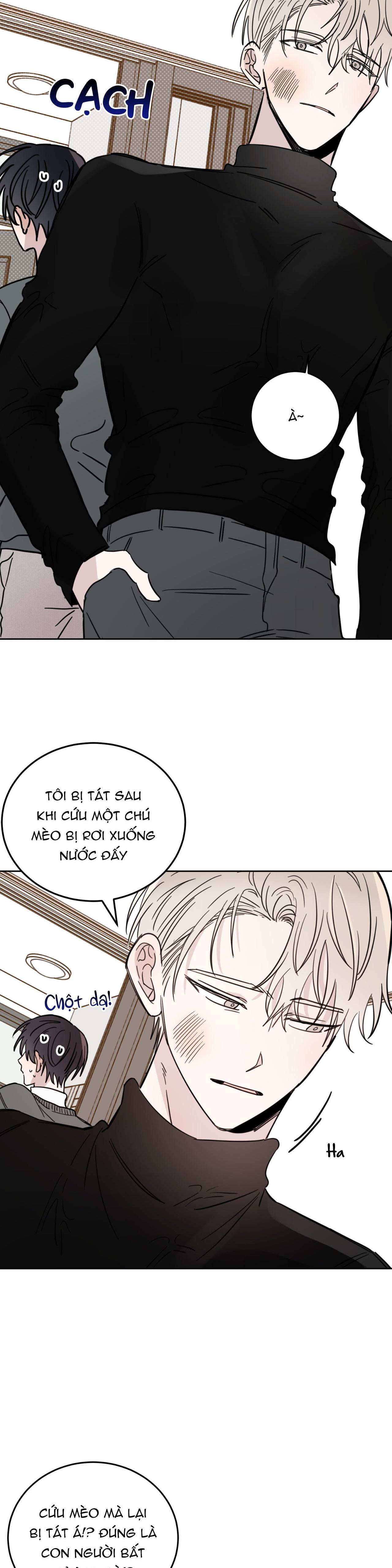 Ác ma giữa ngã tư đường Chapter 21 - Next Chapter 22