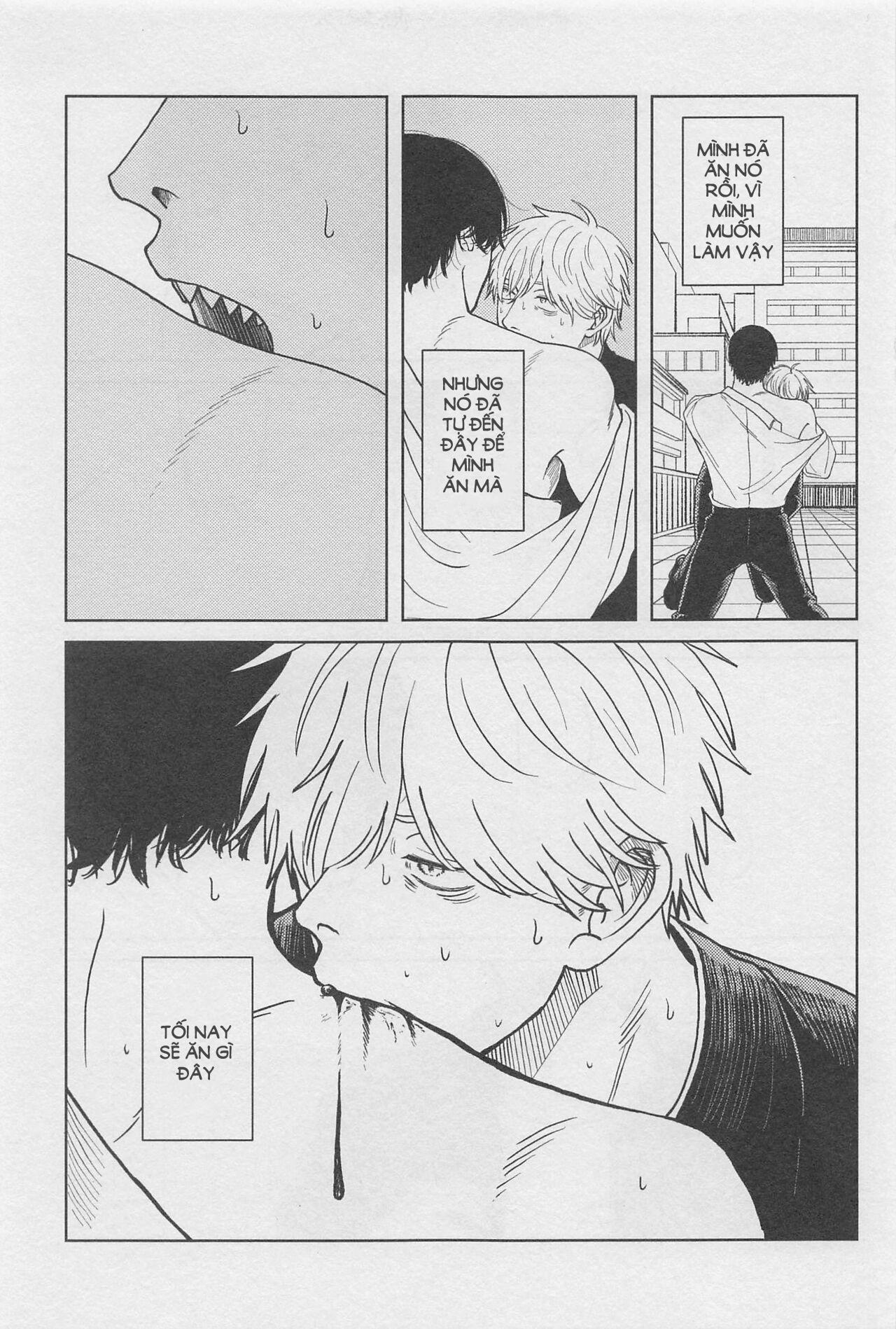 Ổ sìn OTP Chapter 127 YoshiDen - Next Chapter 128 BakuDeku