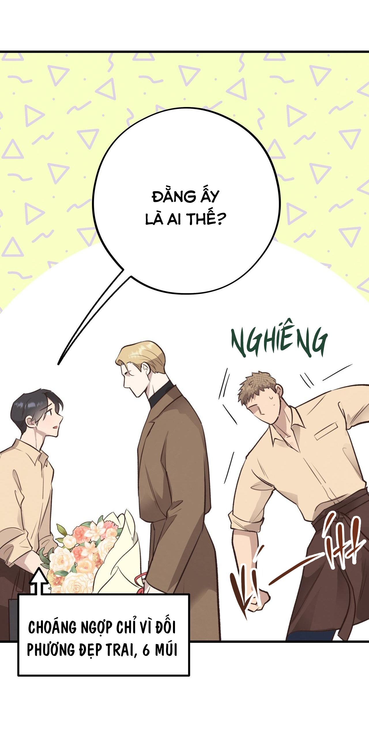 mật gấu Chapter 36 - Next Chương 37