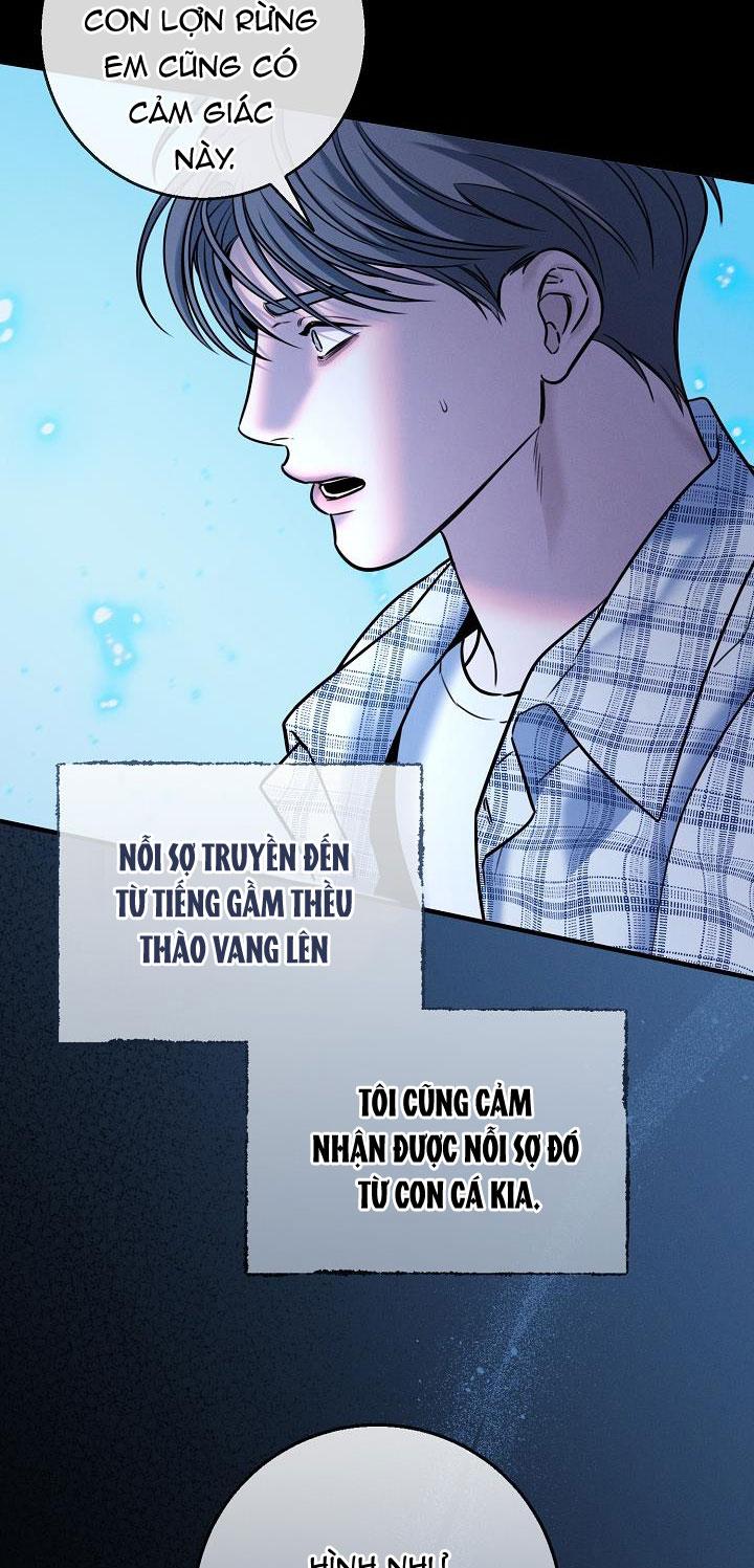 ĐÊM KHÔNG DẤU VẾT Chapter 31 - Next Chapter 32