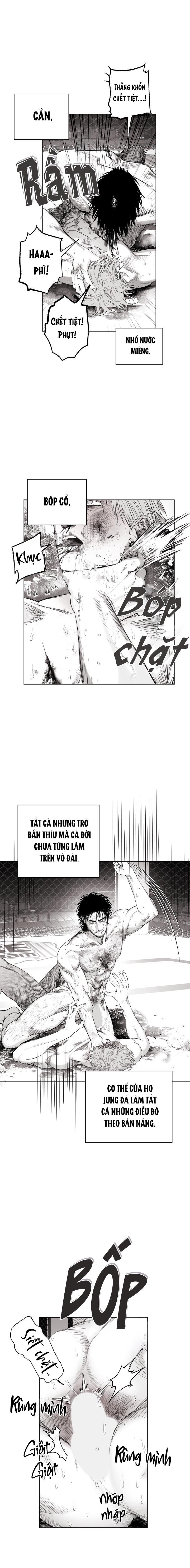 NHÀ VÔ ĐỊCH NGOAN CƯỜNG Chapter 11 - Next Chapter 12