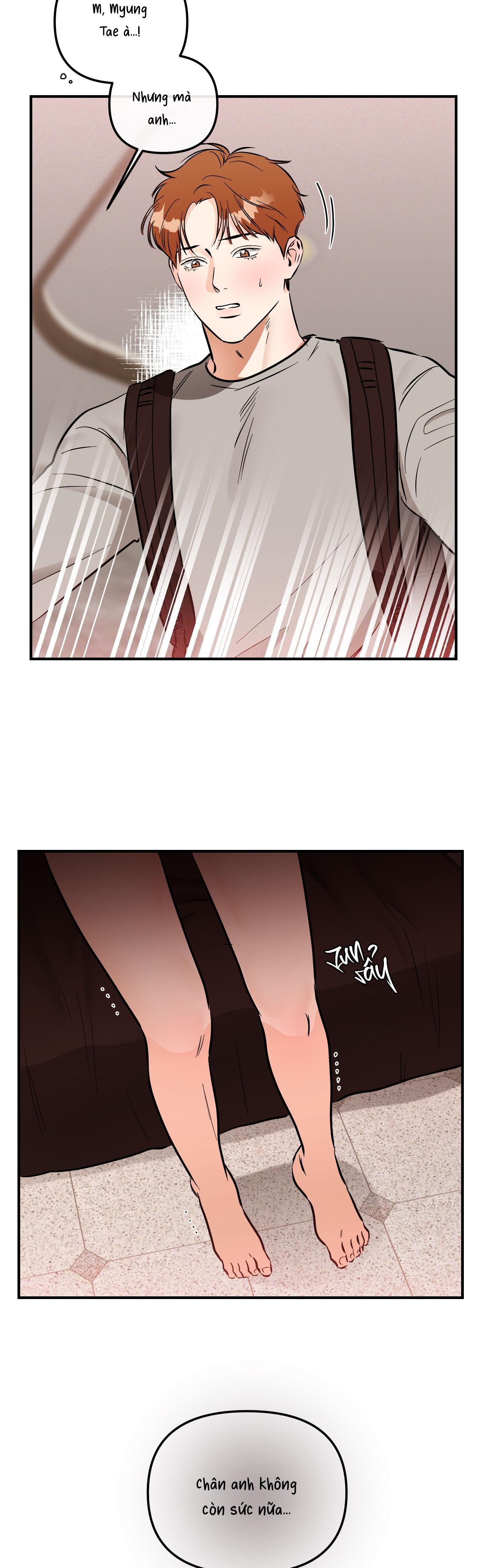 CÁ MINH THÁI KHÔ QUẮT RỒI! Chapter 55 - Next Chapter 56