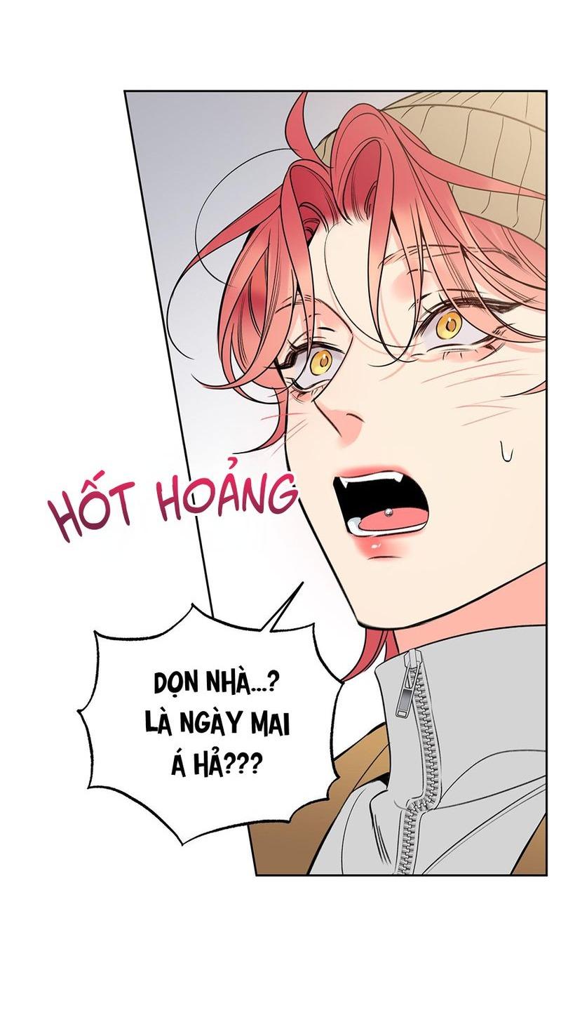 HONEY TROUBLE Chapter 38 - Trang 4